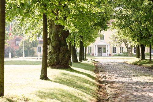 Κήπος έξω από το Relais & Châteaux Gutshaus Stolpe