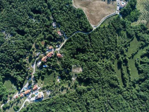 an aerial view of a house in the forest at Villa TonKa with jacuzzi sauna and private pool in Labin