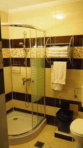 a bathroom with a shower and a toilet at Pensiunea Clasic in Buşteni