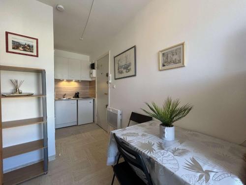 une table avec une plante dans une cuisine dans l'établissement Studio 4 couchages CAP D'AGDE CT140-090, au Cap d'Agde