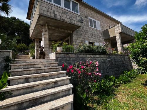 Apartments & Rooms Tapera- Comfort Double Room with Terrace and Partial Sea View