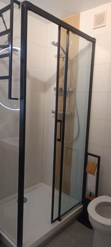 La salle de bains est pourvue d'une douche en verre et de toilettes. dans l'établissement Chambre,piscine,petit déjeuner inclus, à Chantonnay