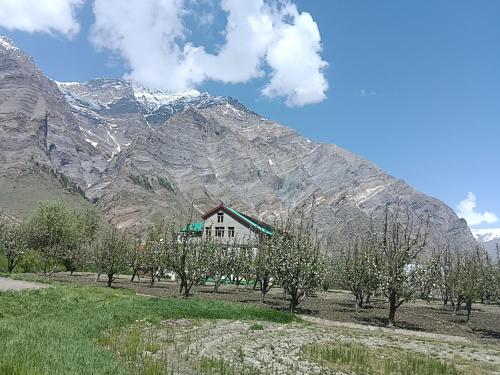 a house in a field with trees and mountains at Chandra Bhaga homestay and campsite in Tāndi