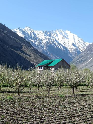 a barn in a field with trees in front of a mountain at Chandra Bhaga homestay and campsite in Tāndi