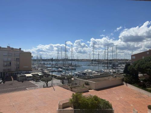 Appt Deux pièces 4 couchages CAP D'AGDE CT455-146