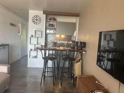 Appt Deux pièces 4 couchages CAP D'AGDE CT455-146