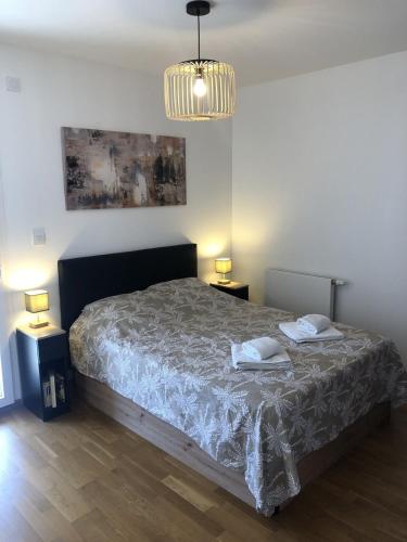 une chambre avec un lit avec deux serviettes dessus dans l'établissement Appartement T2 46 m2 O'Lac proche du lac 1 chambre parking terrasse, à Aix-les-Bains