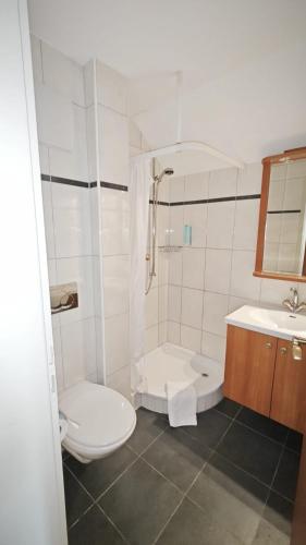 a bathroom with a toilet and a shower and a sink at Room's at HAUS am SEE direkt am Thunersee gelegen mit SELF CHECK IN & digitaler Rezeption in Oberhofen am Thunersee