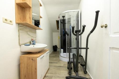 a bathroom with a shower and a sink at résidence KAKIKA in Verviers