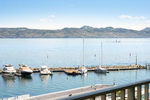 Appartement Evian vue lac exceptionnel