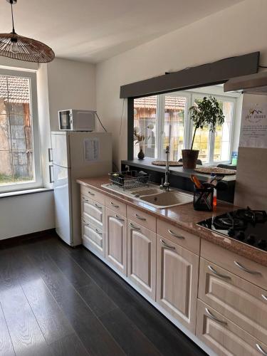 a kitchen with a sink and a refrigerator at Hot'Vosges in Vagney