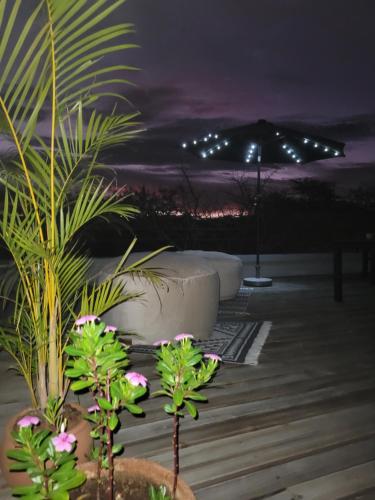 a patio with plants and an umbrella at night at Switsongo B&B in Hoedspruit