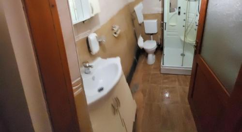 a bathroom with a sink and a toilet at Pensiunea Hanul Huniazilor HD in Hunedoara
