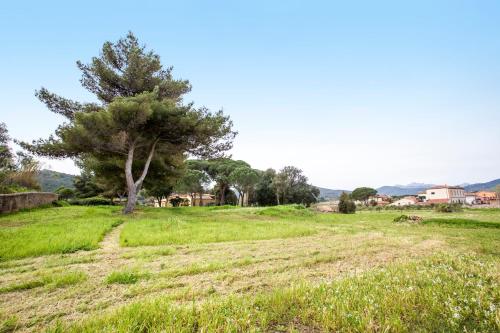 Gallery image of Appartamento Podere San Marco - Bilocale in Portoferraio