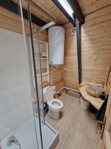 a bathroom with a toilet in a wooden room at A-Park Bologa in Bologa