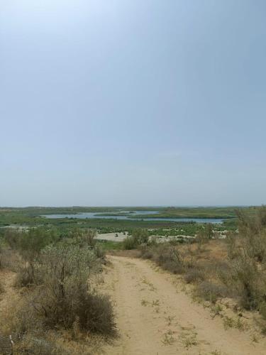 a dirt road in the middle of the desert at Kyzylkum Nights Camp & Family Yurt in Nurota