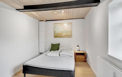 a bedroom with a bed in a white room at 3 Bedroom Awesome Home In Sydals in Østerby