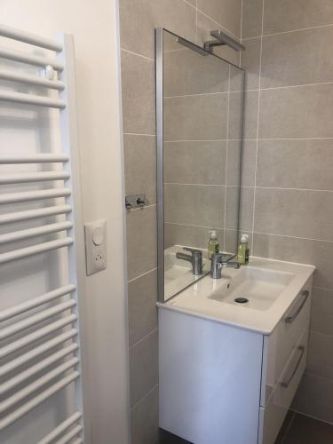 une salle de bain avec un lavabo et un miroir dans l'établissement Appartement T2 48 m2 le Cliper B proche du lac, 1 chambre garage terrasse, à Aix-les-Bains