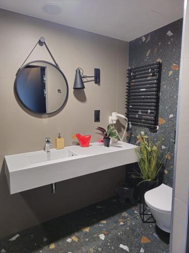 a bathroom with a sink and a mirror and a toilet at Biała Perła Residence Czarna Góra in Sienna