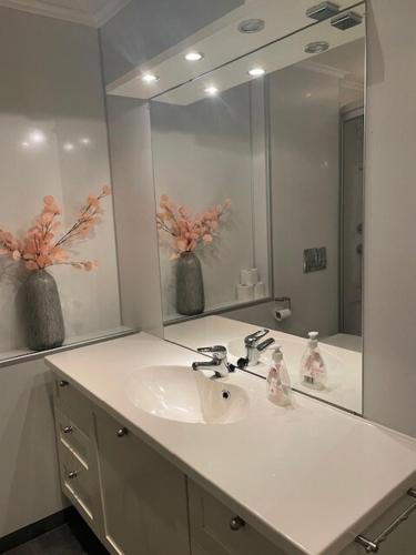 a bathroom with a sink and a large mirror at Seljesanden Apartment in Selje