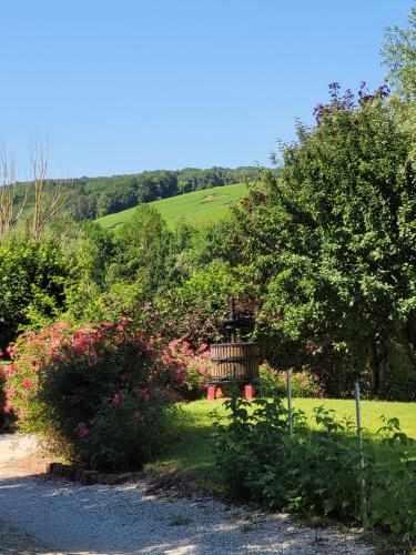 a garden with bushes and flowers in a field at La Colline aux Fustes in Meurville