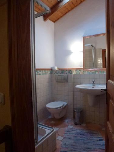 a bathroom with a toilet and a sink at Casa Muslone in Muslone