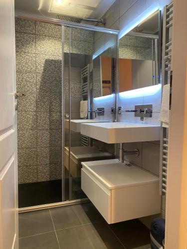 une salle de bain avec un lavabo et un miroir dans l'établissement Le Sainte Claire - City Center, à Annecy