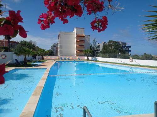 Vau Mar 505 BY SWEET HOME