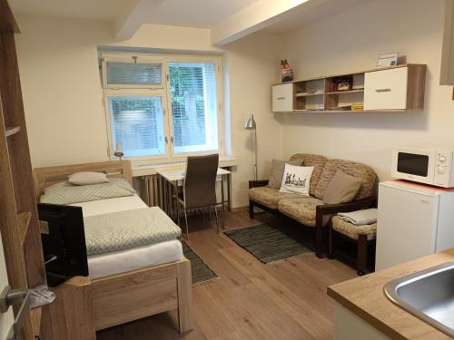 a small room with a bed and a desk at Malý útulný byt V Lipkách in Hradec Králové