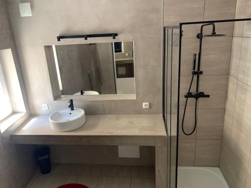 une salle de bain avec un lavabo et une douche dans l'établissement Maison Ulysse, à La Celle-sous-Gouzon