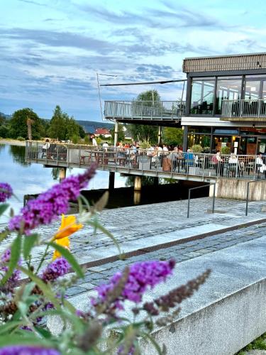 a group of people sitting at a restaurant on a pier at Stadthotel und Restaurant am See in Tirschenreuth