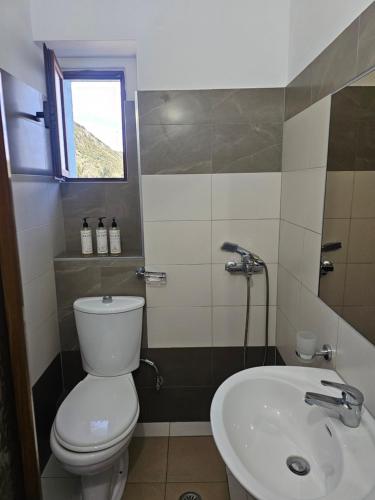 a bathroom with a toilet and a sink at Te Rrapi Rooms in Qeparoi i Sipërm