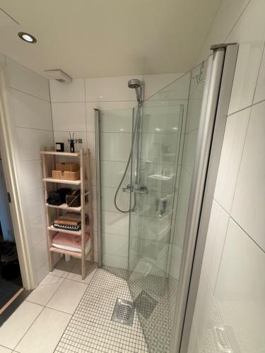 a bathroom with a shower with a glass at Spacious apartment with sea-view and sunset in Oslo