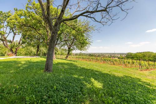 Gallery image of Ca' Meridiana by Welchome in Bavaria