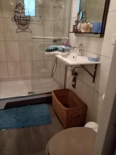 une salle de bain avec une douche, un lavabo et des toilettes dans l'établissement une chambre chez l'habitant, à Bangor