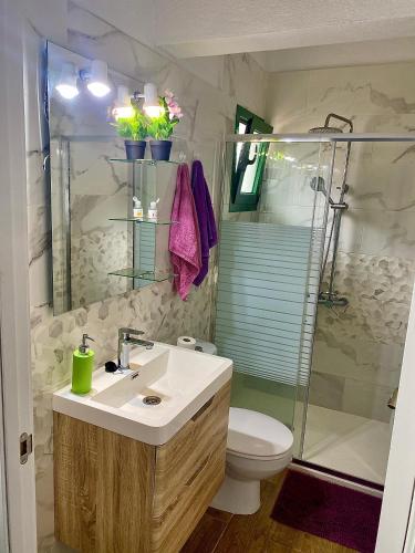 a bathroom with a sink and a toilet and a shower at ApKanariooo in Frontera