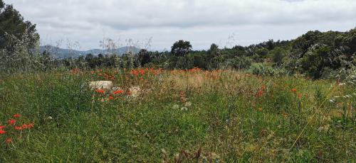Photo de la galerie de l'établissement Locadiere, à La Cadière-dʼAzur