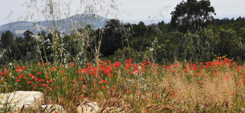 Photo de la galerie de l'établissement Locadiere, à La Cadière-dʼAzur