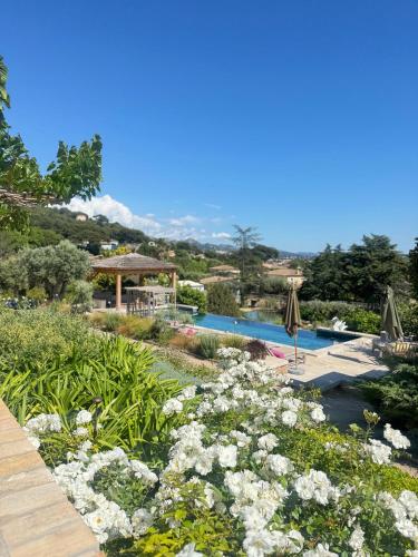 a garden with white flowers and a swimming pool at LA BASTIDE DES CULS-ROUSSET in Marseille