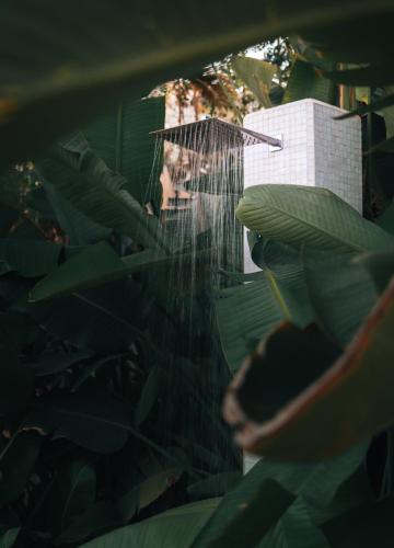 a man in a bird cage in a plant at Maison Kenoosha Boutique Hotel & Spa in Marrakech