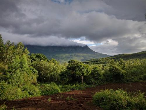 a dirt road with trees and a mountain in the background at The Natures Nest Resort in Attigundi