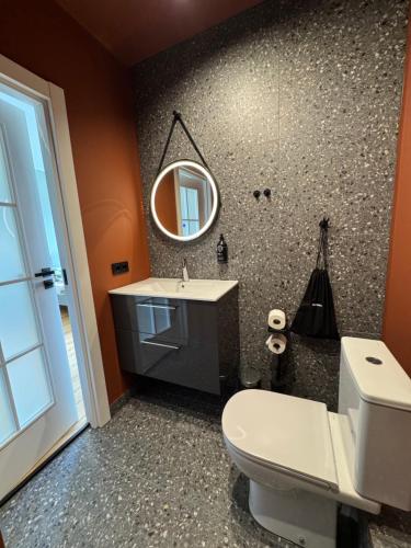 a bathroom with a toilet and a sink and a mirror at Avitar in Rīga