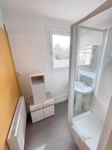 une petite salle de bain avec un lavabo et un miroir dans l'établissement Le Dumont - Apt 4 Prs, 3 Ch, Quartier Wilson, à Dijon
