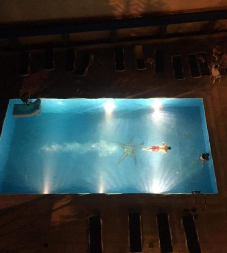 a tank with a starfish and a fish in it at Etoile DE Mer in Al ‘Ayn