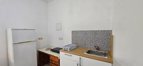 Η κουζίνα ή μικρή κουζίνα στο Apartments Dvor by the Krka river