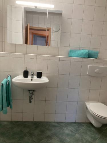 a bathroom with a sink and a toilet and a mirror at Ferienwohnungen am Louisenteich in Frauendorf