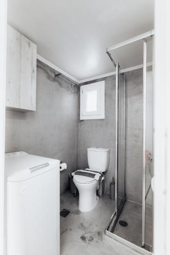 a small bathroom with a toilet and a shower at Villa PAPADATES ARTEMIS in Barbaliáki