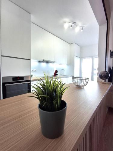Beach Lounge Apartment Litoralmar