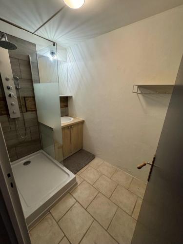 a small bathroom with a shower and a sink at Location chambre rouge dans un appartement en colocation in Nevers