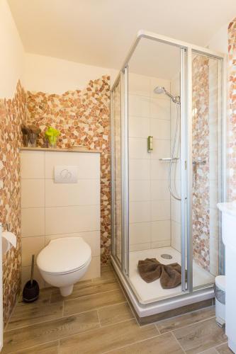 a bathroom with a shower and a toilet in it at Kräuterhotel Garni Zur Klostergrotte in Nohra
